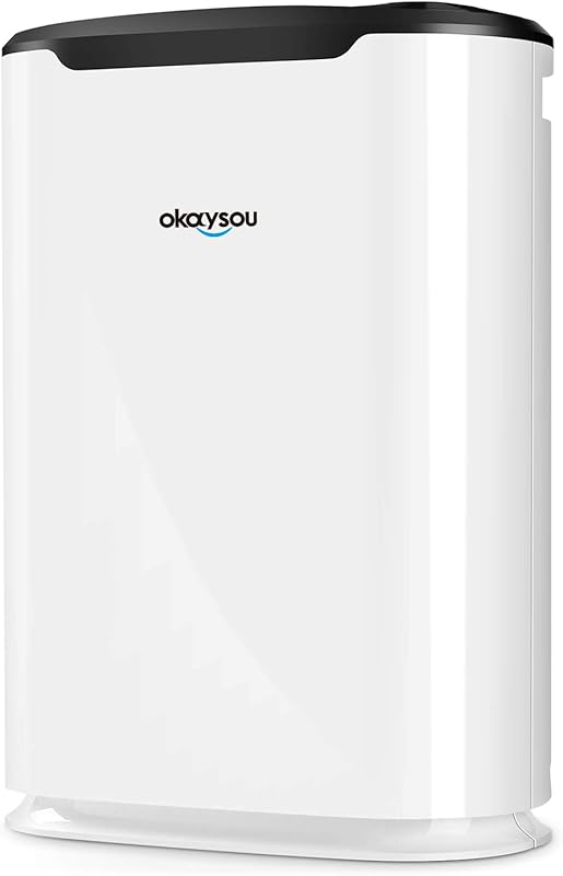 Okaysou AirMax8L Purifier Eliminates Filtration
